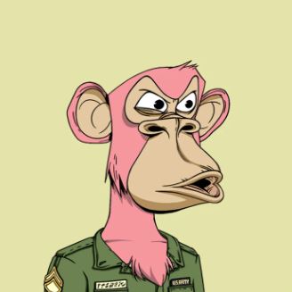 Bored Ape